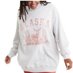 Aerie Alaska Graphic Women's Mock Neck Sweater - Light Gray